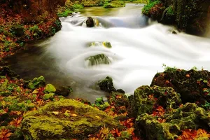 风景，自然，水，岩石，秋天，秋叶，背景，模糊
