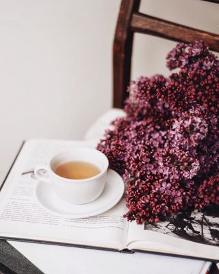 陶器, 碟, 植物, 杯子, 咖啡杯, 罐子, 花瓶, 餐饮