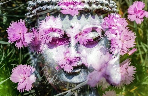 灰色佛像、佛、花、佛教、宗教、和平、精神、东方 灰色佛像、佛、花、佛教、宗教、和平、精神、东方