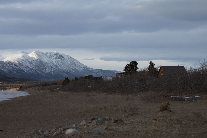 育空地区, Carcross, 房子, 湖, 山, 圣诞节, 自然, 树