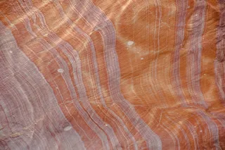 橙色和米色纺织品