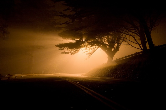 空旷、道路、路灯、树木、景观、夜晚、光柱、雾