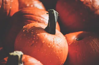 橙色, 南瓜, 水, 迷你南瓜, 秋天, 自然, 万圣节, 阴影