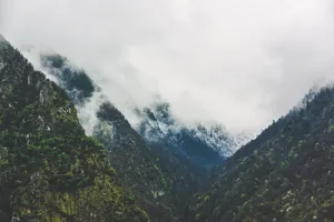 景观照片，阿尔卑斯山，雾，山，丘陵，景观，森林，树木