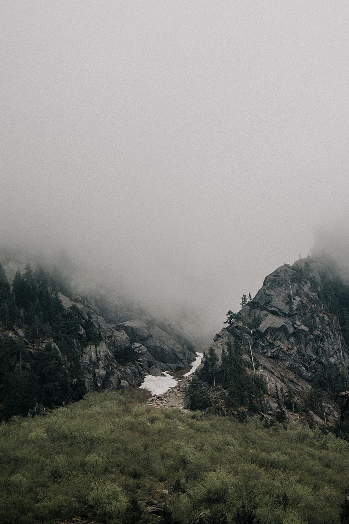 树木和薄雾旁边的山的航空照片