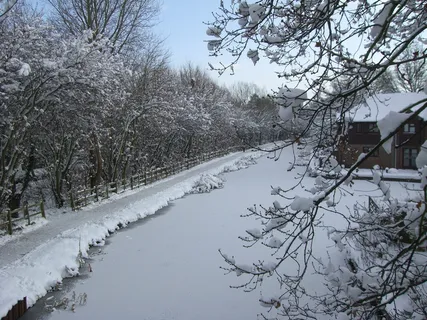 雪,运河,冬天,寒冷的温度,树,白色,宁静的景色,植物 雪,运河,冬天,寒冷的温度,树,白色,宁静的景色,植物