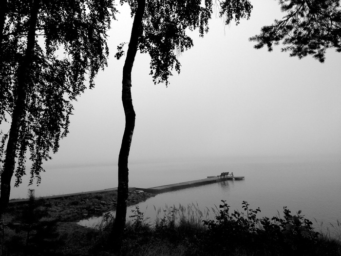 湖，雾，同伴，水，风景，雾，早晨，平静