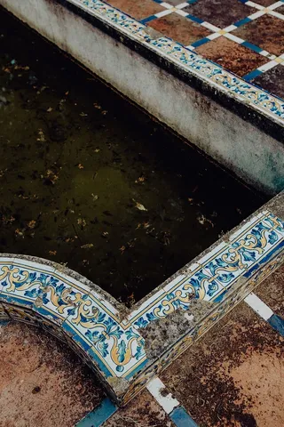 葡萄牙里斯本贝伦热带植物园