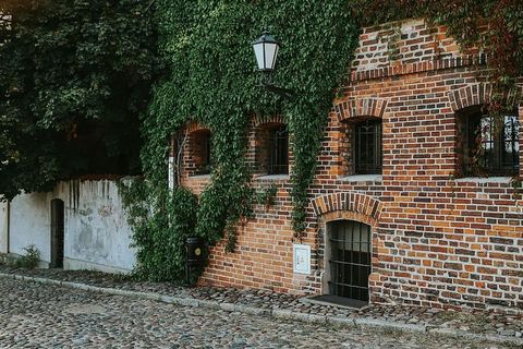 藤蔓覆盖的旧建筑