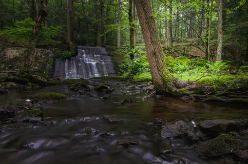 美国,布兰奇维尔,斯托克斯州立森林,瀑布,岩石,树木,春天,森林 美国,布兰奇维尔,斯托克斯州立森林,瀑布,岩石,树木,春天,森林