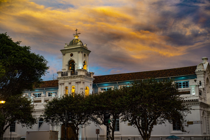 旧大教堂水池，大教堂，建筑，水池，遗产，建筑外观，建筑结构，树木