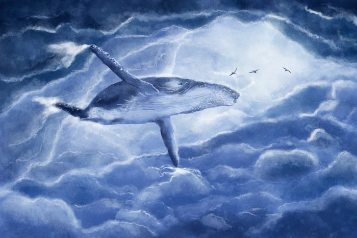 蓝鱼插图，鲸鱼，vráskavec，云，幻想，飞行，蓝色，灰色