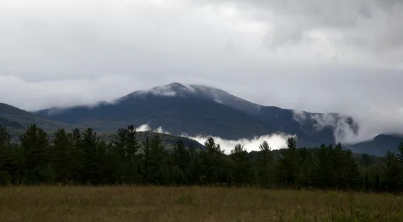 穿过森林的雾山 穿过森林的雾山