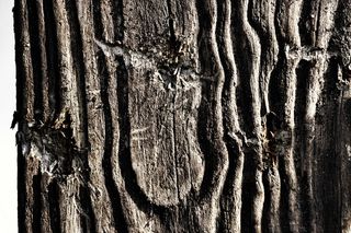 木材，结构，背景，纹理，纹理，陈旧，损坏，木纹