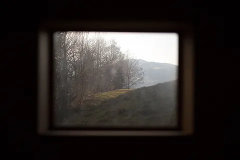 枯萎，树木，旁边，草地，田野，窗户，风景，森林，玻璃