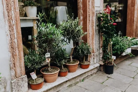 意大利威尼斯城堡花店