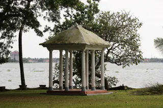 湖，科钦，喀拉拉邦，风景，植物，树木，水，自然