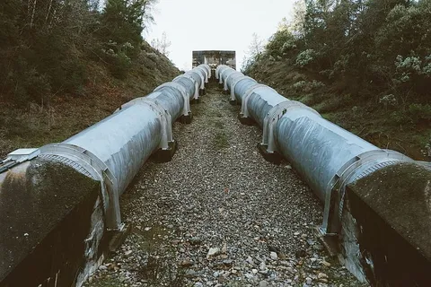 两个，大的，灰色的，金属管，树，灰色的，钢制的，管