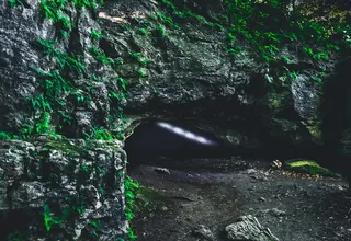 美国，明尼苏达州，绿色，深色，喜怒无常，浅色，阳光，地板