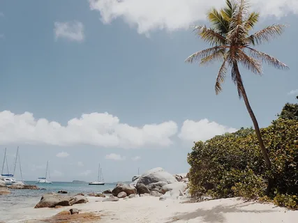 英属维尔京群岛、约斯特·范戴克、棕榈树、树木、海滩、自然、异国情调、岛屿