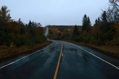 树与树之间的道路,道路,公路,砾石,土路,树,方向 树与树之间的道路,道路,公路,砾石,土路,树,方向