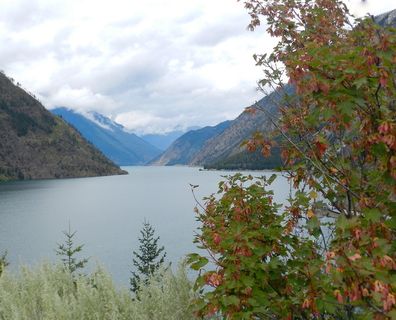 美丽，不列颠，哥伦比亚，山地，自然之美，水，风景-自然，植物