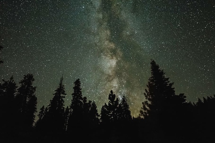 星团，剪影，照片，树木，夜晚，时间，自然，天空