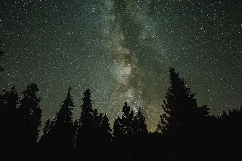 星团,剪影,照片,树木,夜晚,时间,自然,天空 星团,剪影,照片,树木,夜晚,时间,自然,天空