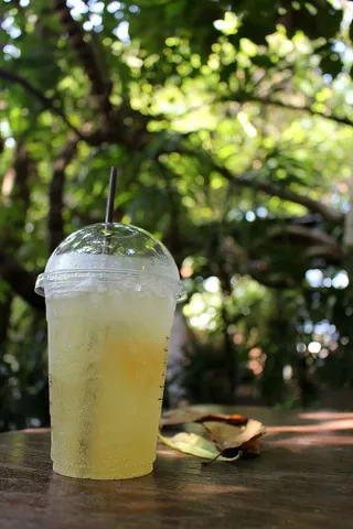 一杯冰柠檬茶，放在热带花园的桌子上