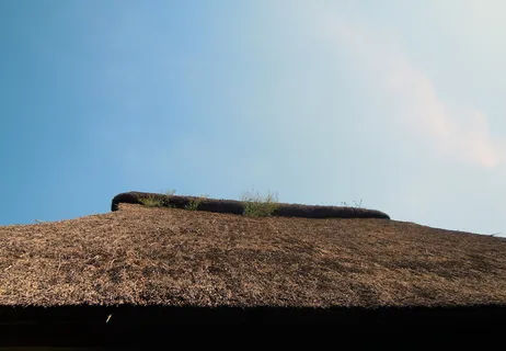 茅草屋顶，屋顶，草屋顶，天空，土地，没有人，建筑，自然