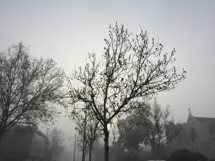 澳大利亚，本迪戈，迈尔斯街22号，寒冷，冬天，银石，单调，阳光