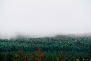 雾、山、森林、秋天、小屋、云、风景、旅行