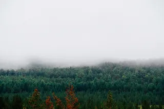 雾、山、森林、秋天、小屋、云、风景、旅行