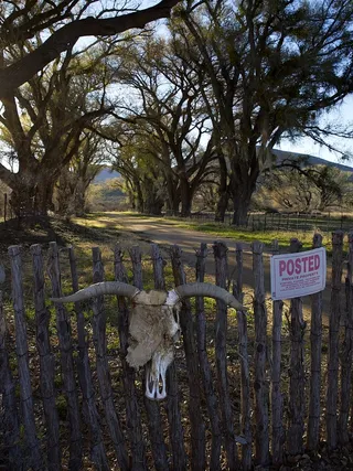 大门，植物，树，骷髅谷，牧场，栏杆，美国，树干
