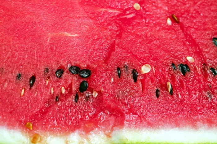聚焦，照片，切片，西瓜，西瓜籽，甜瓜，水果，红色