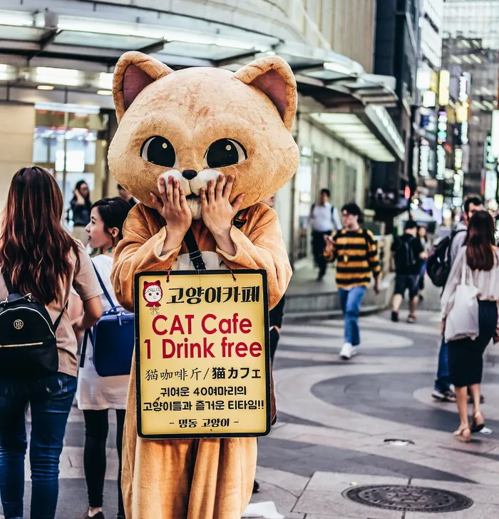 户外猫咪吉祥物