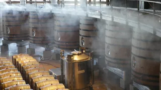 木桶，葡萄酒，酒厂，葡萄酒生产，葡萄园，卡瓦，食品和饮料，企业