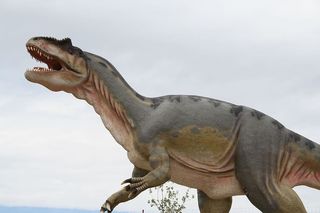 爬行动物，恐龙，动物，自然，动物世界，古生物学，史前，怪物