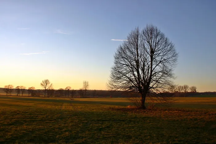 秋天的风景，秋天，风景，秋天的动机，自然，灯光，夜晚，树