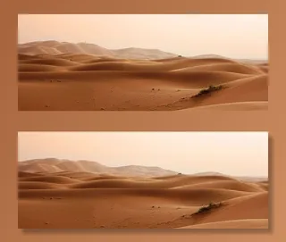 景观、自然、天空、沙子、日光、沙漠、干旱、干旱