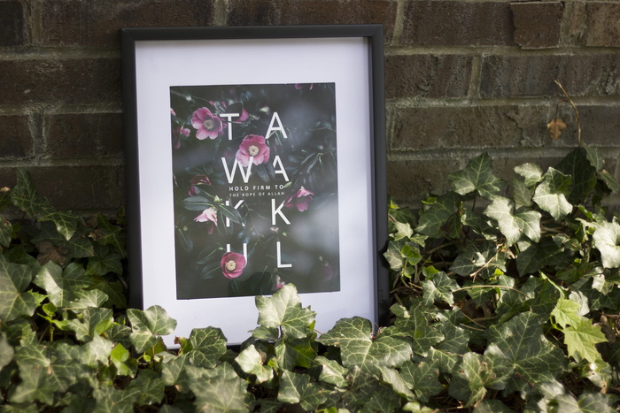 画框，乡村，绿色和棕色，绿色，塔瓦库，黑色框架，海报，展示