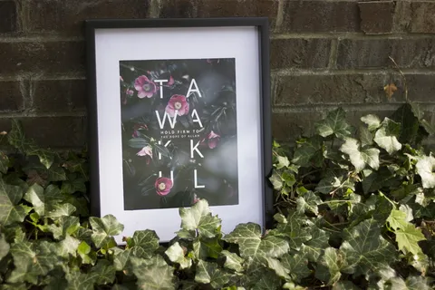 画框，乡村，绿色和棕色，绿色，塔瓦库，黑色框架，海报，展示