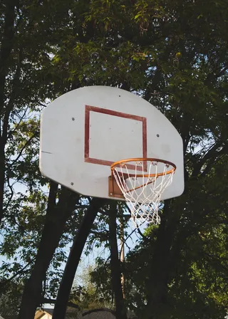 加拿大、萨斯喀彻温省、net、day、trees、vintage、sports、sport