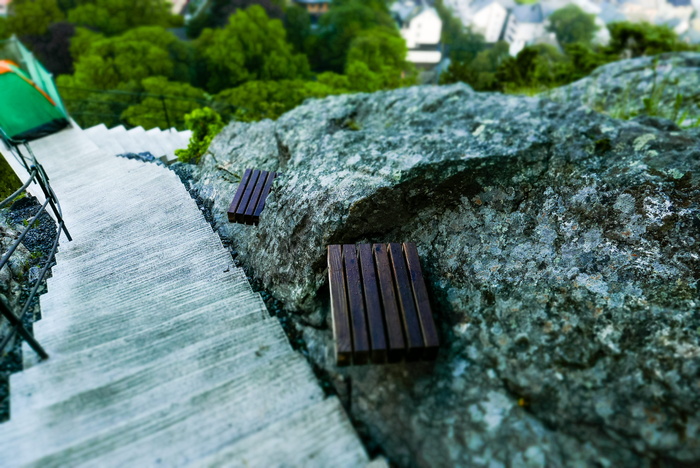 模糊、板条箱、日光、环境、高角度拍摄、景观、树叶、休闲