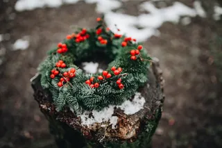 圣诞快乐的冬青花环