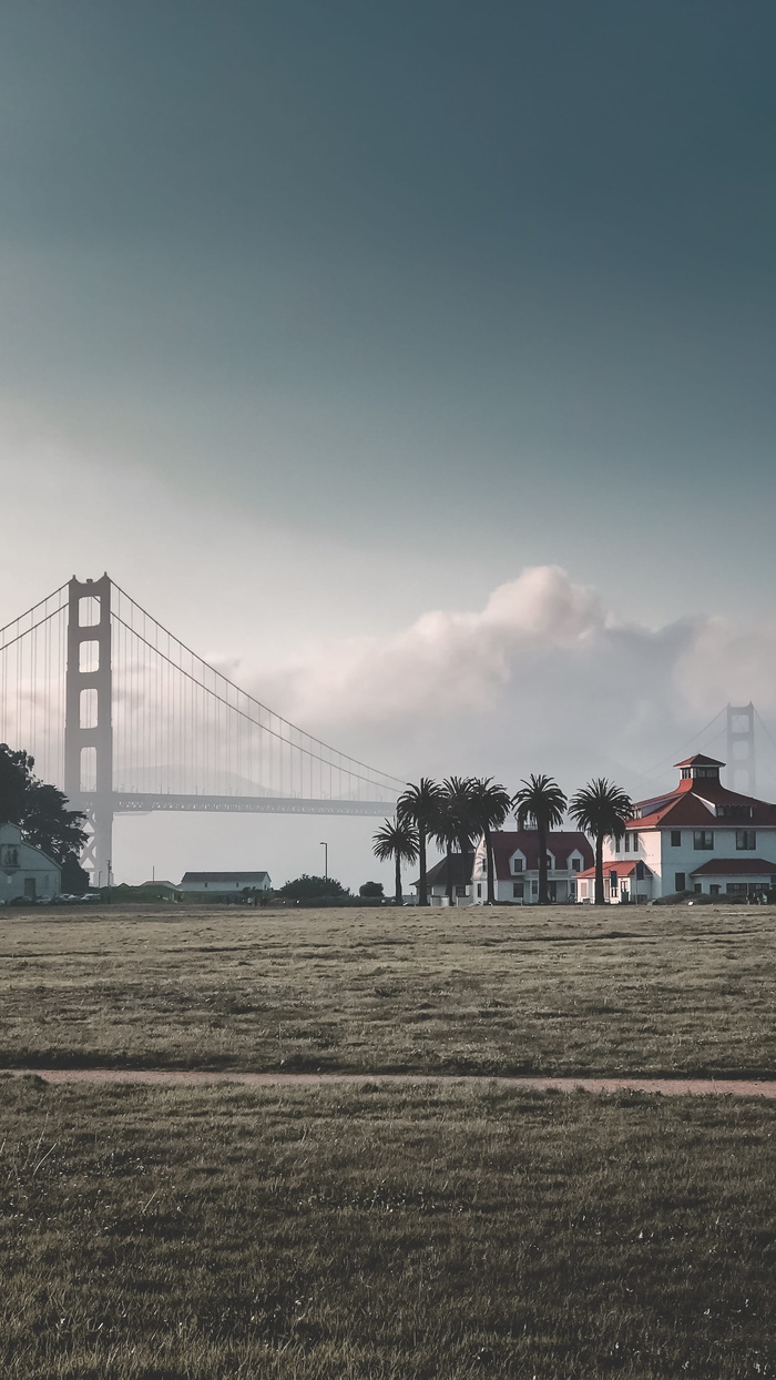旧金山, 美国, 649 mason st, 日落, 公园, crissy field, 卡尔, 棕榈树