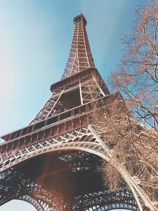 法国，巴黎，树木，巴黎法国，拉图埃菲尔，极简主义，建筑师，建筑