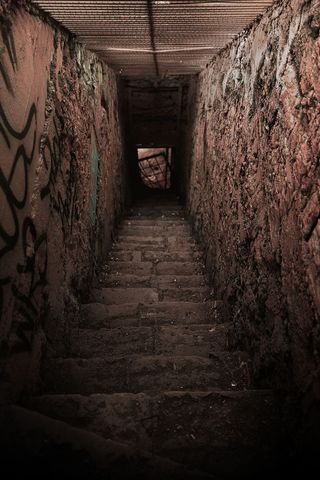 美国，洛杉矶，老洛杉矶动物园野餐区，ghetoo，城市建筑，废弃建筑，树木，losangelesoldzoo