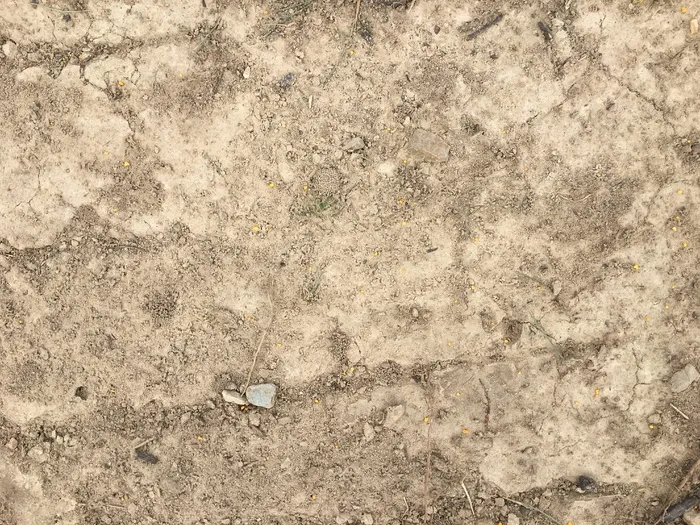 美国，西摩，沙地，地面，泥土，沙子，泥土，背景