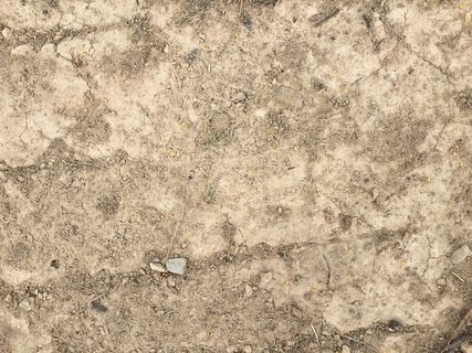 美国,西摩,沙地,地面,泥土,沙子,泥土,背景 美国,西摩,沙地,地面,泥土,沙子,泥土,背景